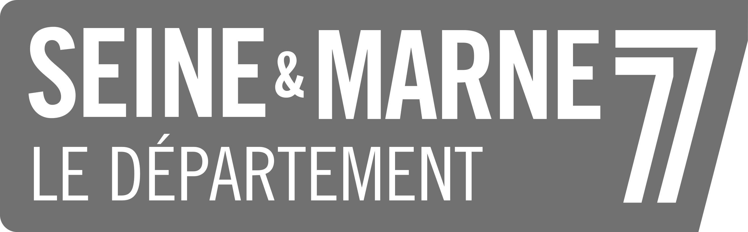 NB Seine-et-Marne_logo.svg